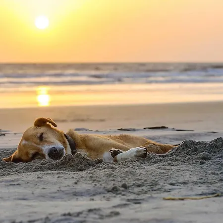 公寓 Vasco Da Gama - Erleben Sie Den Sonnenaufgang Ein Seefahrer 欧巴德伍斯图